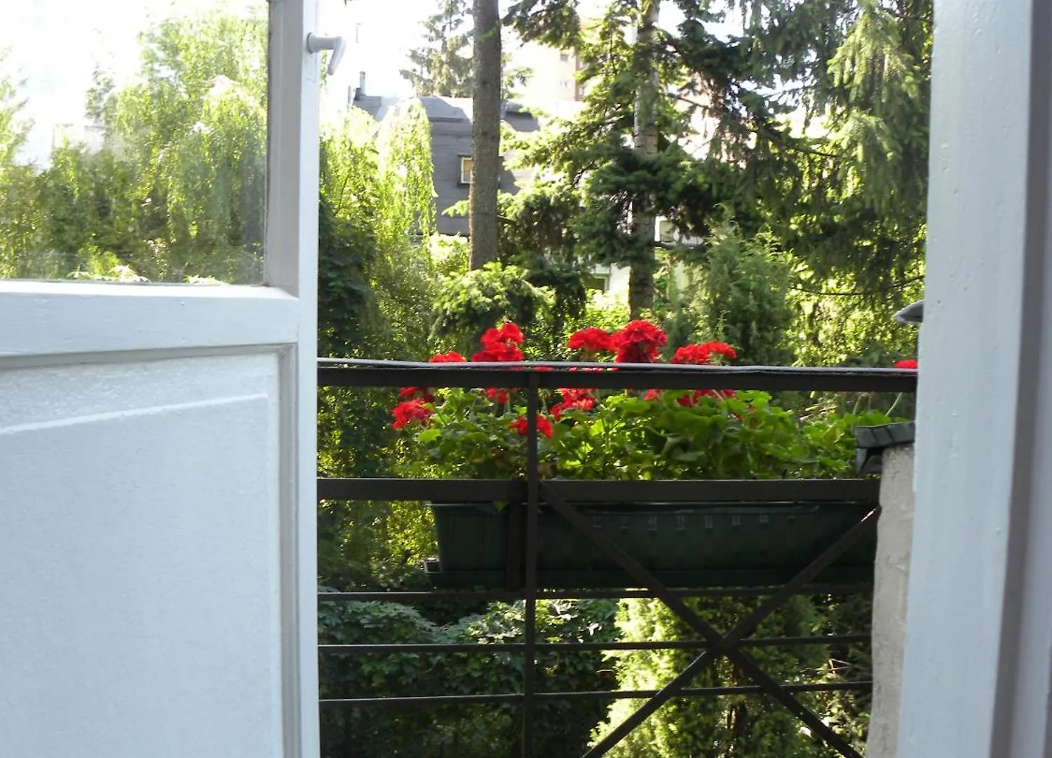 Animrumru Warsaw